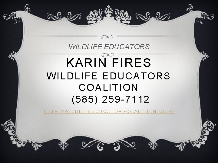 WILDLIFE EDUCATORS KARIN FIRES WILDLIFE EDUCATORS COALITION (585) 259 -7112 HTTP: //WILDLIFEEDUCATORSCOALITION. COM/ 