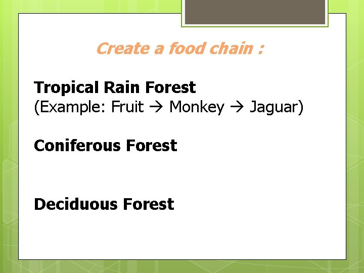 Create a food chain : Tropical Rain Forest (Example: Fruit Monkey Jaguar) Coniferous Forest
