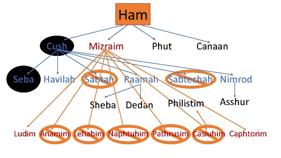Ham Cush Mizraim Phut Canaan Seba Havilah Sabtah Raamah Sabtechah Nimrod Sheba Dedan Philistim