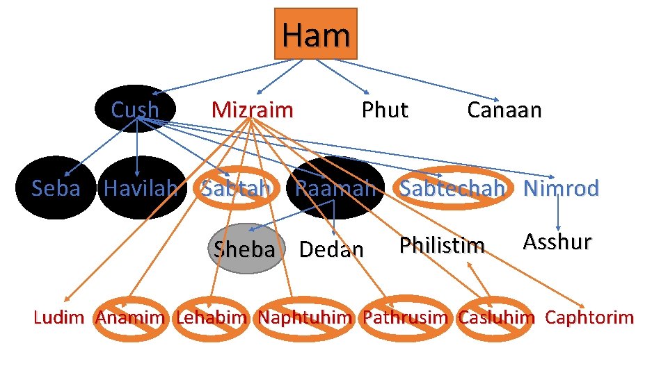 Ham Cush Mizraim Phut Canaan Seba Havilah Sabtah Raamah Sabtechah Nimrod Sheba Dedan Philistim