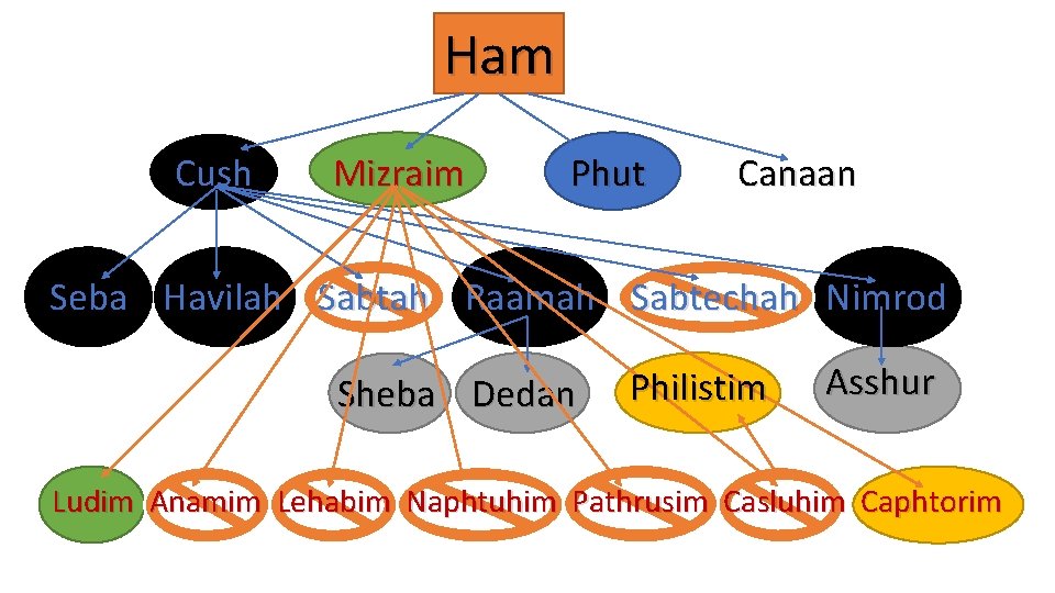 Ham Cush Mizraim Phut Canaan Seba Havilah Sabtah Raamah Sabtechah Nimrod Sheba Dedan Philistim