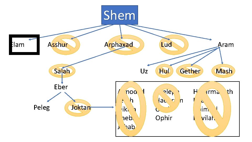 Shem Elam Asshur Arphaxad Salah Uz Eber Peleg Lud Joktan Almodad Jerah Diklah Sheba