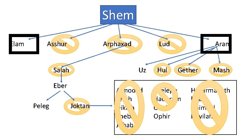 Shem Elam Asshur Arphaxad Salah Uz Eber Peleg Lud Joktan Almodad Jerah Diklah Sheba