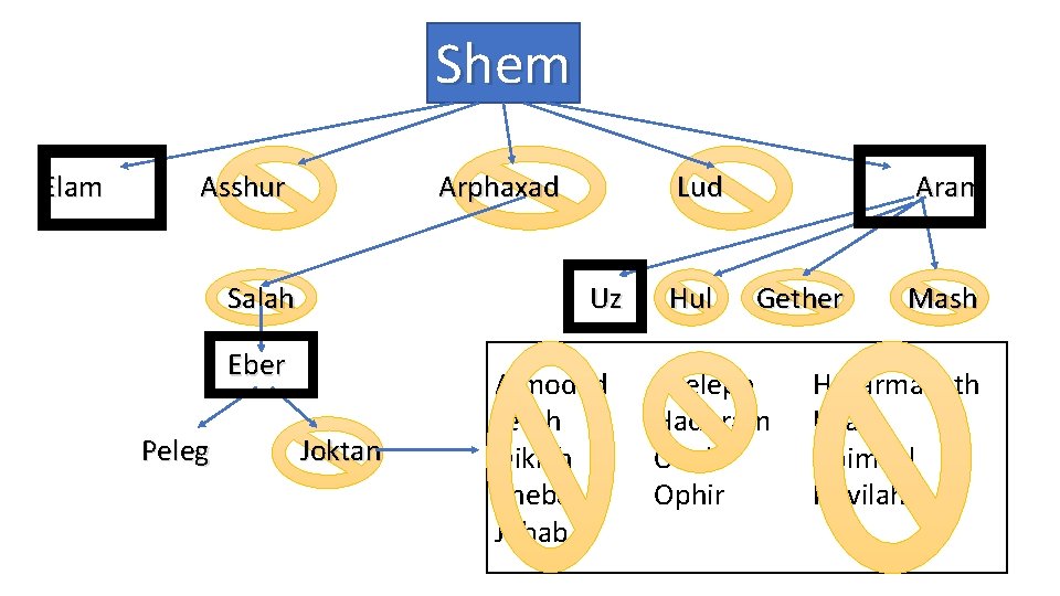Shem Elam Asshur Arphaxad Salah Uz Eber Peleg Lud Joktan Almodad Jerah Diklah Sheba