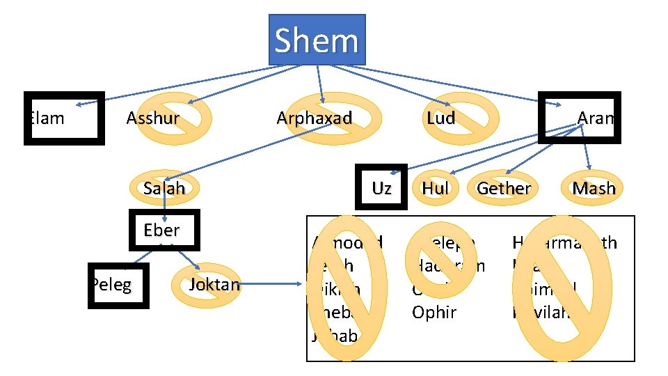 Shem Elam Asshur Arphaxad Salah Uz Eber Peleg Lud Joktan Almodad Jerah Diklah Sheba
