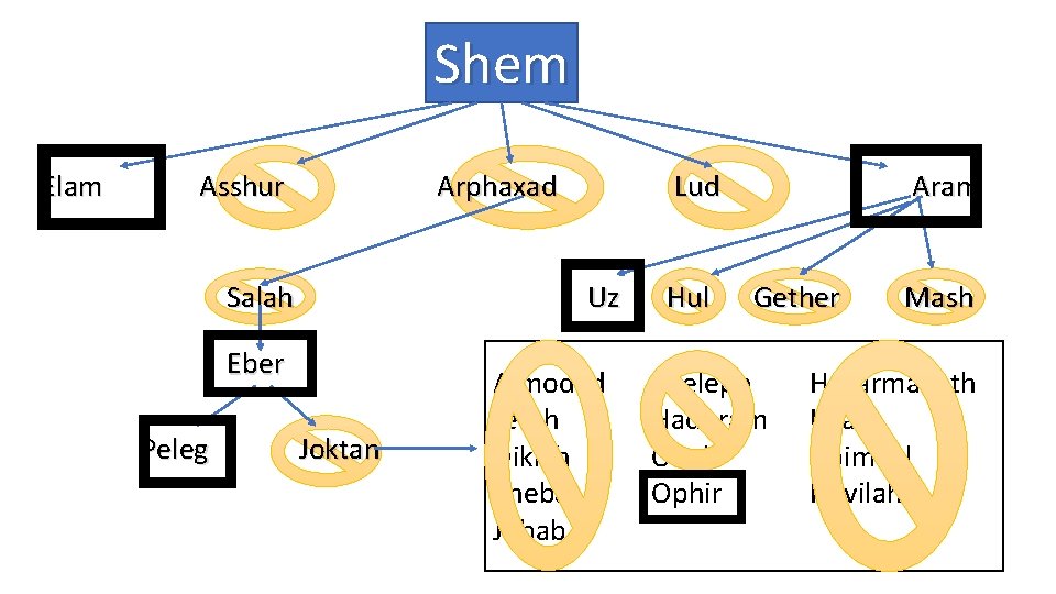 Shem Elam Asshur Arphaxad Salah Uz Eber Peleg Lud Joktan Almodad Jerah Diklah Sheba