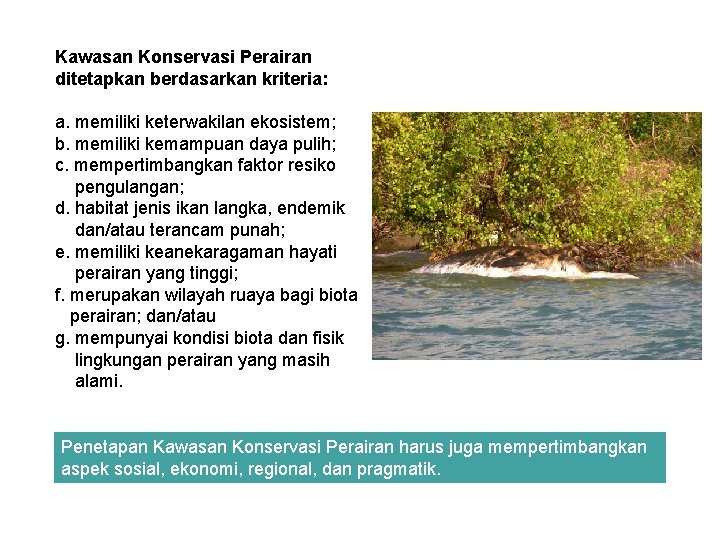 Kawasan Konservasi Perairan ditetapkan berdasarkan kriteria: a. memiliki keterwakilan ekosistem; b. memiliki kemampuan daya