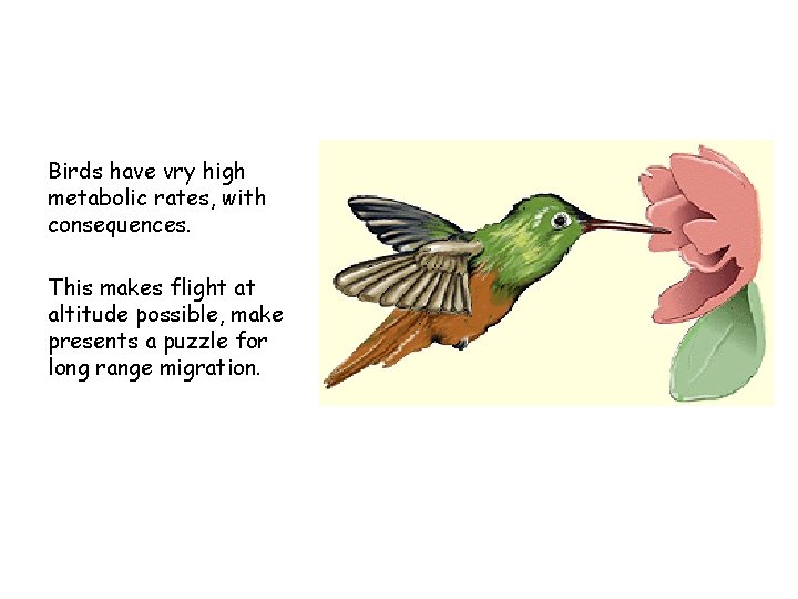 Birds have vry high metabolic rates, with consequences. This makes flight at altitude possible,