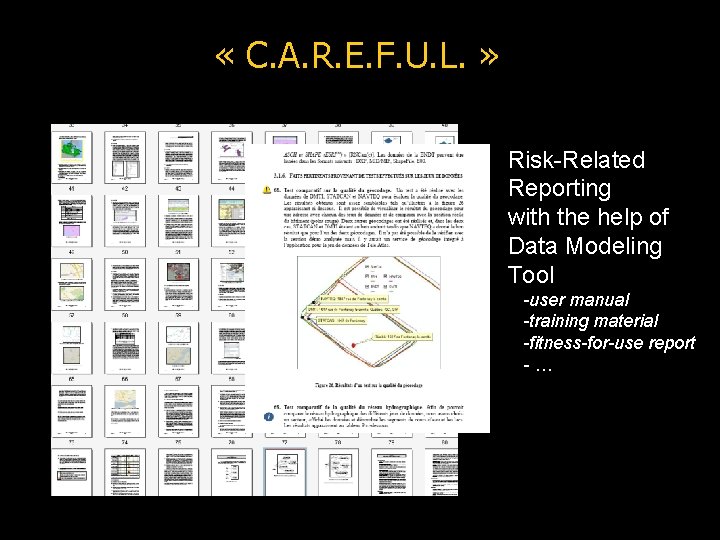  « C. A. R. E. F. U. L. » Risk-Related Reporting with the