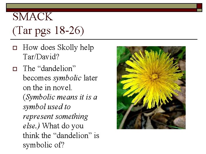 SMACK (Tar pgs 18 -26) o o How does Skolly help Tar/David? The “dandelion”