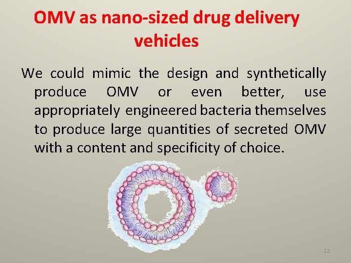 OMV as nano-sized drug delivery vehicles We could mimic the design and synthetically produce