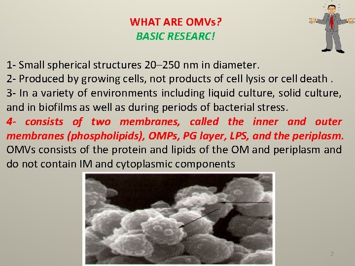 WHAT ARE OMVs? BASIC RESEARC! 1 - Small spherical structures 20– 250 nm in
