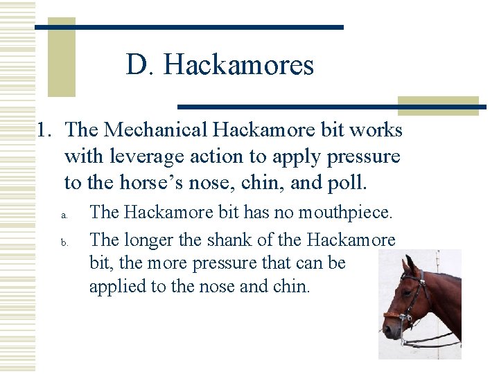 D. Hackamores 1. The Mechanical Hackamore bit works with leverage action to apply pressure