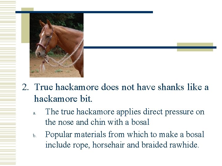 2. True hackamore does not have shanks like a hackamore bit. a. b. The