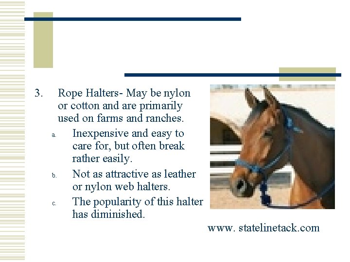 3. Rope Halters- May be nylon or cotton and are primarily used on farms