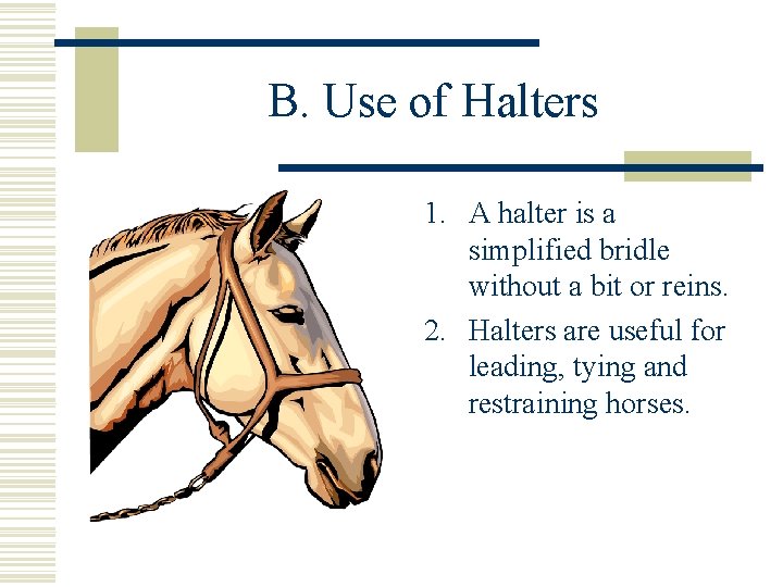 B. Use of Halters 1. A halter is a simplified bridle without a bit