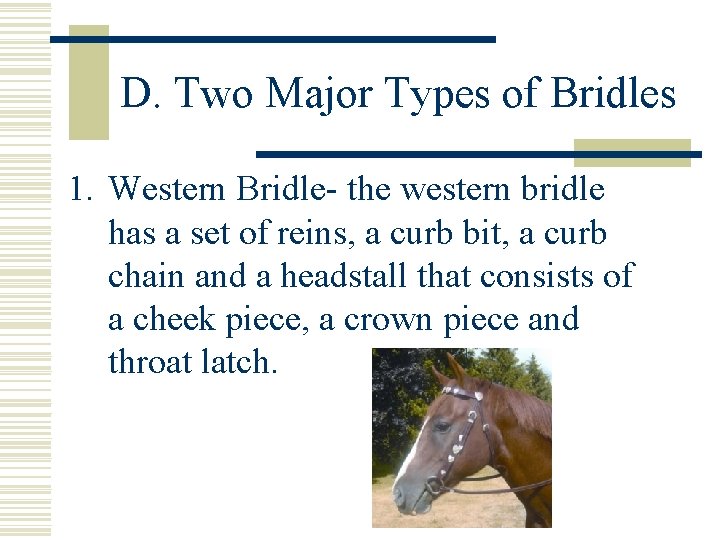 D. Two Major Types of Bridles 1. Western Bridle- the western bridle has a