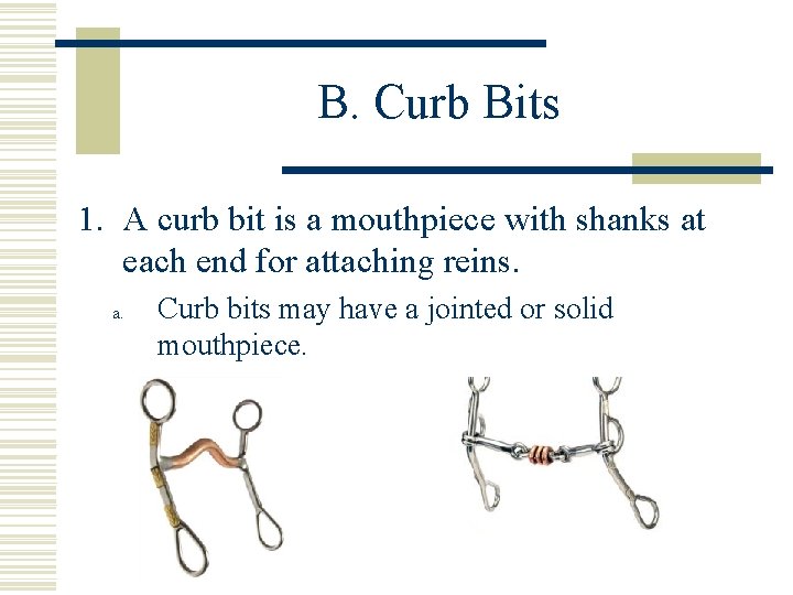 B. Curb Bits 1. A curb bit is a mouthpiece with shanks at each