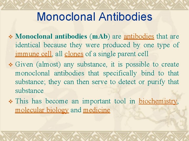 Monoclonal Antibodies Monoclonal antibodies (m. Ab) are antibodies that are identical because they were