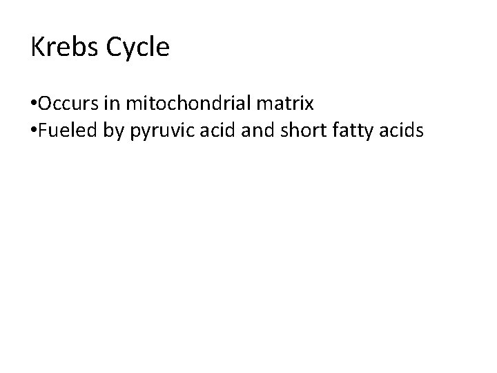 Krebs Cycle • Occurs in mitochondrial matrix • Fueled by pyruvic acid and short