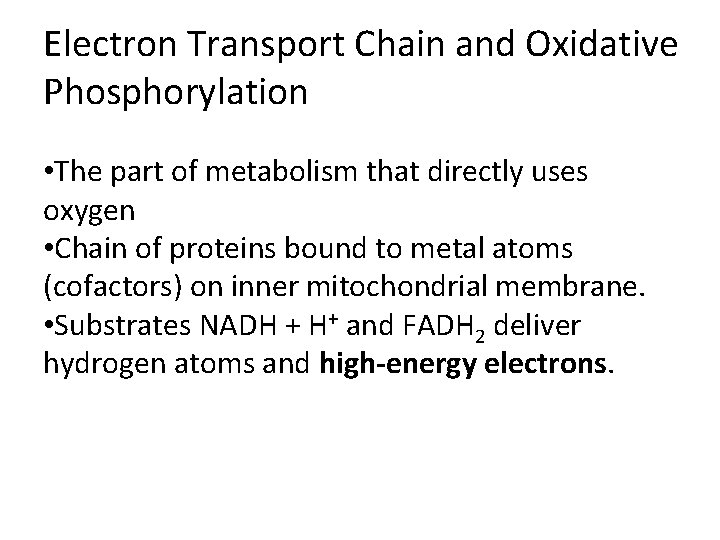Electron Transport Chain and Oxidative Phosphorylation • The part of metabolism that directly uses