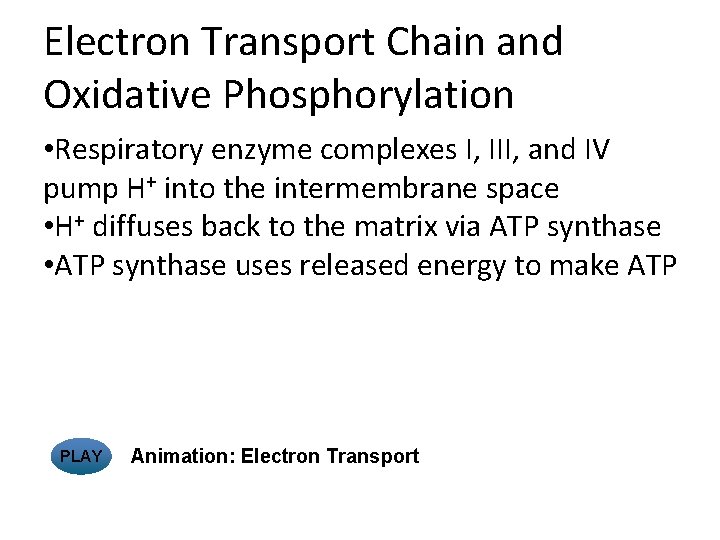 Electron Transport Chain and Oxidative Phosphorylation • Respiratory enzyme complexes I, III, and IV