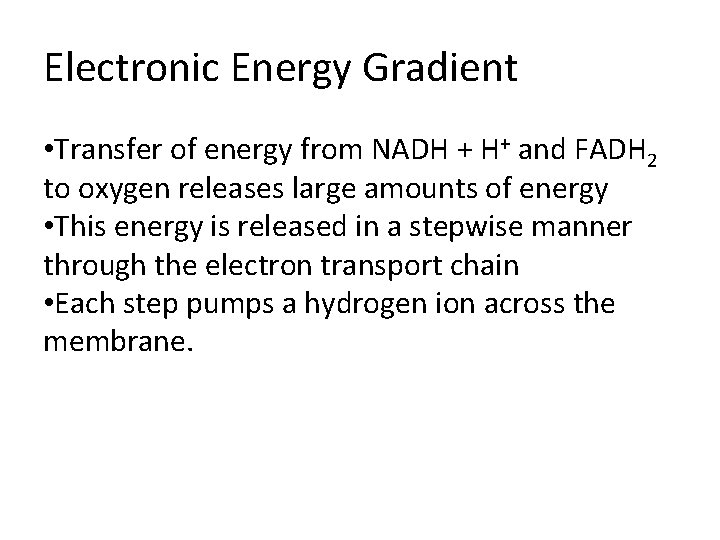 Electronic Energy Gradient • Transfer of energy from NADH + H+ and FADH 2