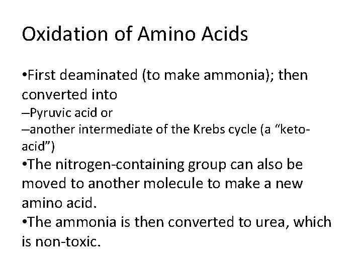 Oxidation of Amino Acids • First deaminated (to make ammonia); then converted into –Pyruvic