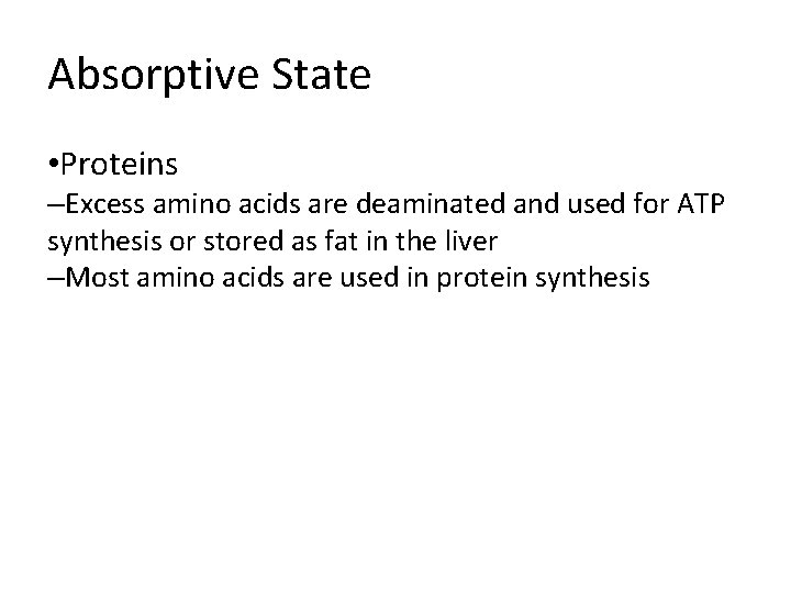 Absorptive State • Proteins –Excess amino acids are deaminated and used for ATP synthesis