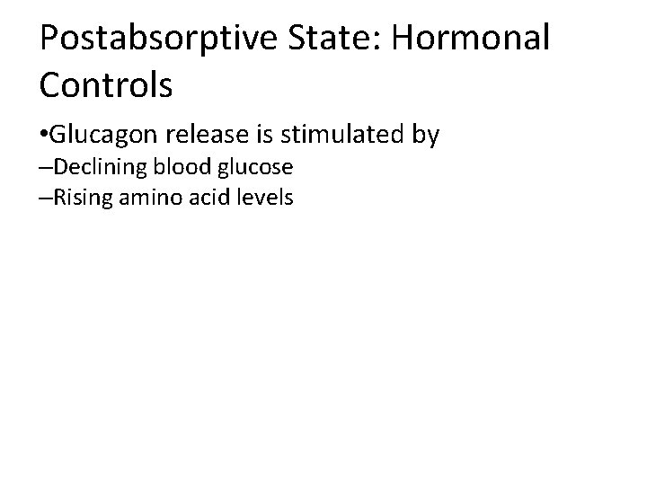 Postabsorptive State: Hormonal Controls • Glucagon release is stimulated by –Declining blood glucose –Rising