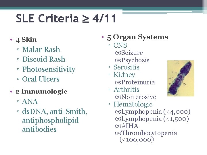 SLE Criteria 4/11 • 4 Skin ▫ ▫ Malar Rash Discoid Rash Photosensitivity Oral