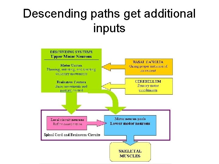 Descending paths get additional inputs 