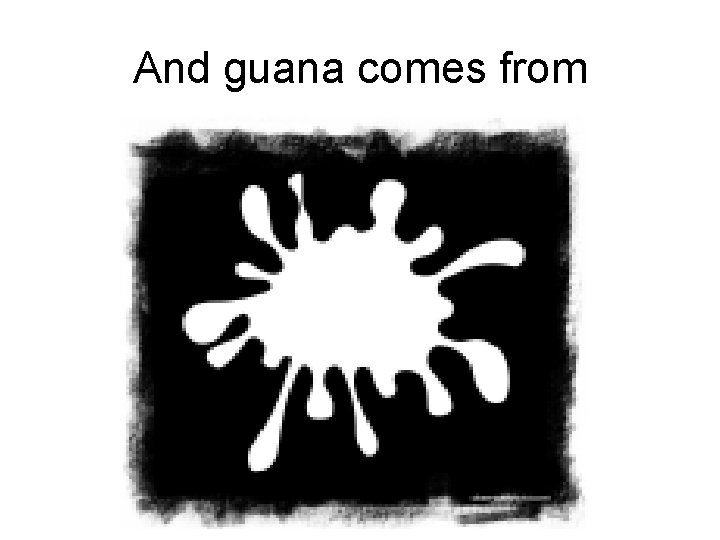 And guana comes from 