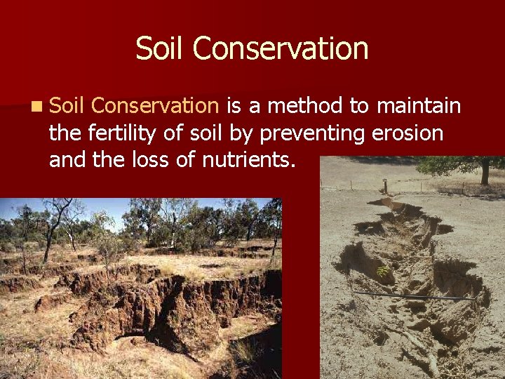 Soil Conservation n Soil Conservation is a method to maintain the fertility of soil