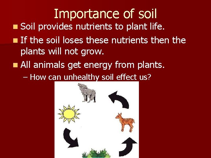 n Soil Importance of soil provides nutrients to plant life. n If the soil