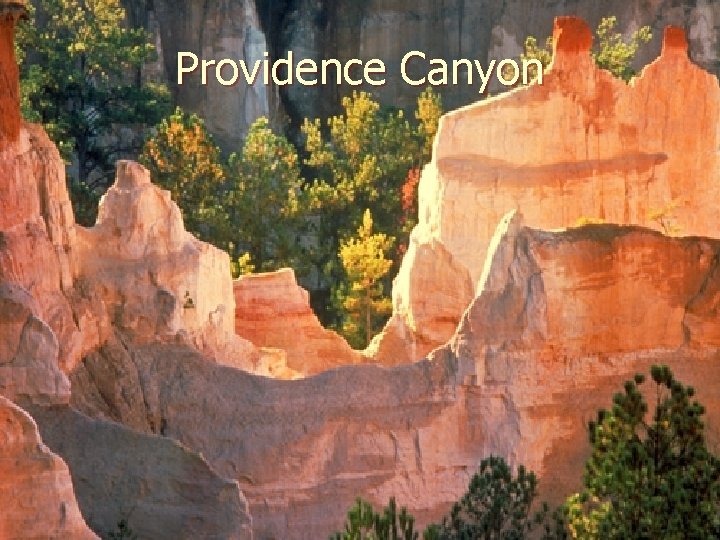 Providence Canyon 