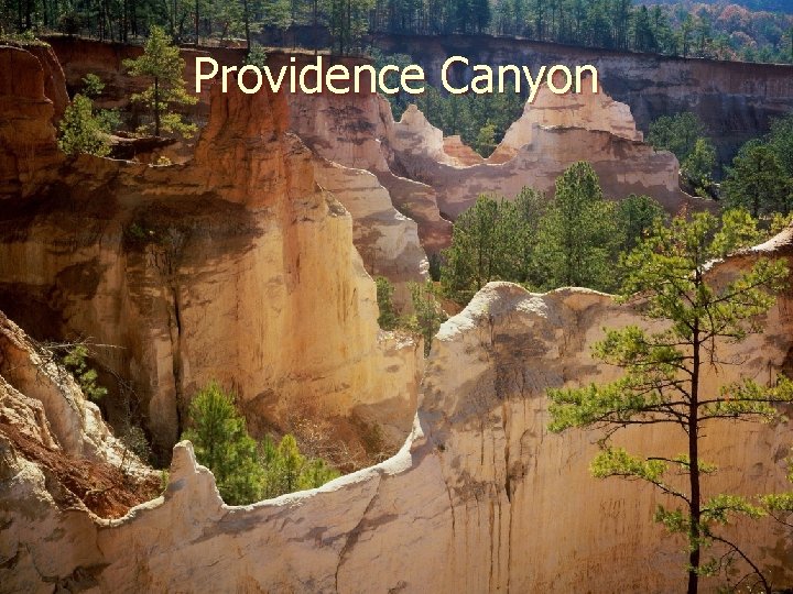 Providence Canyon 