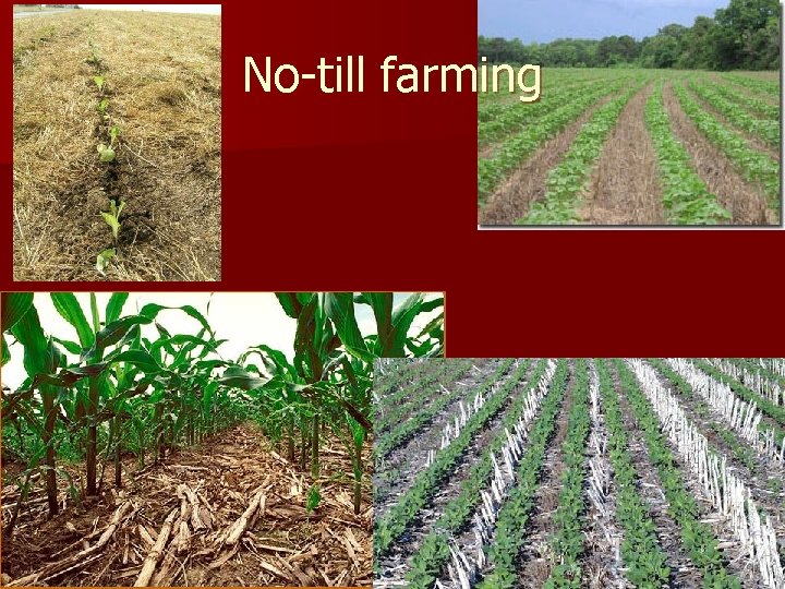 No-till farming 