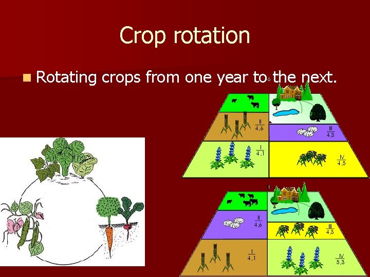 Crop rotation n Rotating crops from one year to the next. 