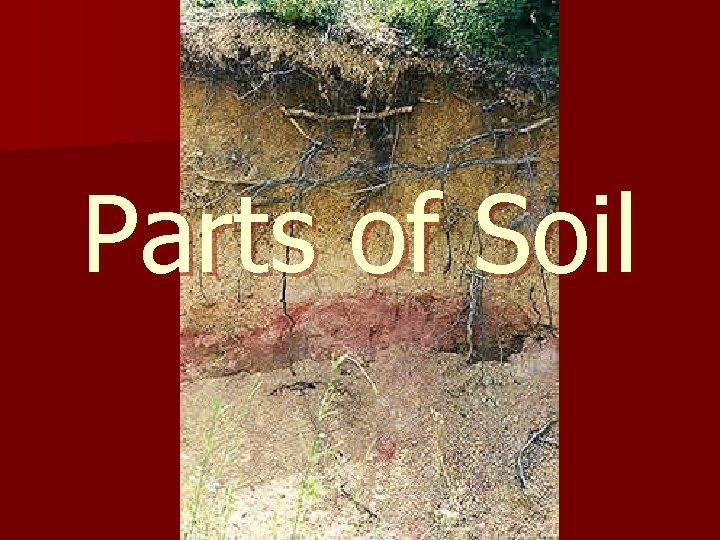 Parts of Soil 