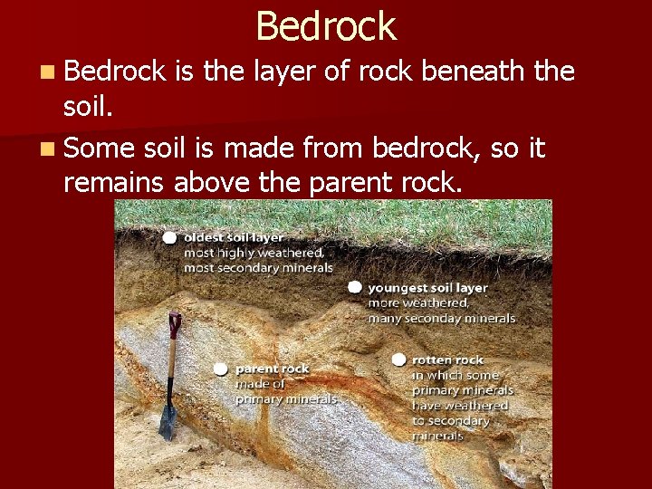 Bedrock n Bedrock is the layer of rock beneath the soil. n Some soil