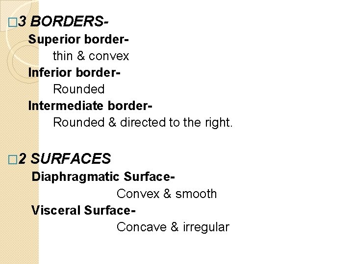 � 3 BORDERSSuperior borderthin & convex Inferior border. Rounded Intermediate border. Rounded & directed