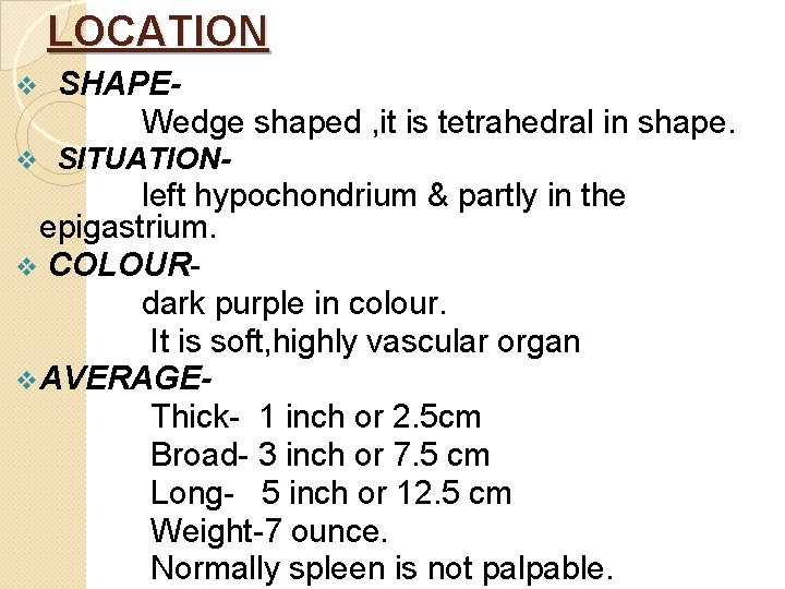LOCATION v SHAPEWedge shaped , it is tetrahedral in shape. v SITUATION- left hypochondrium