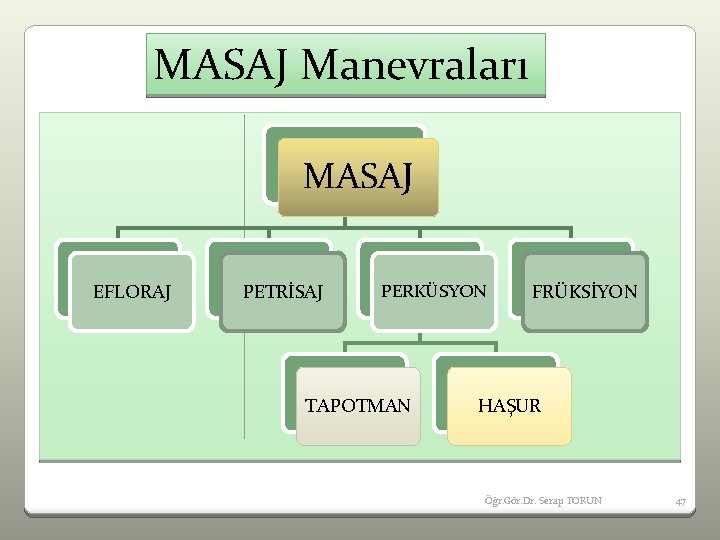 MASAJ Manevraları MASAJ EFLORAJ PETRİSAJ PERKÜSYON TAPOTMAN FRÜKSİYON HAŞUR Öğr. Gör. Dr. Serap TORUN