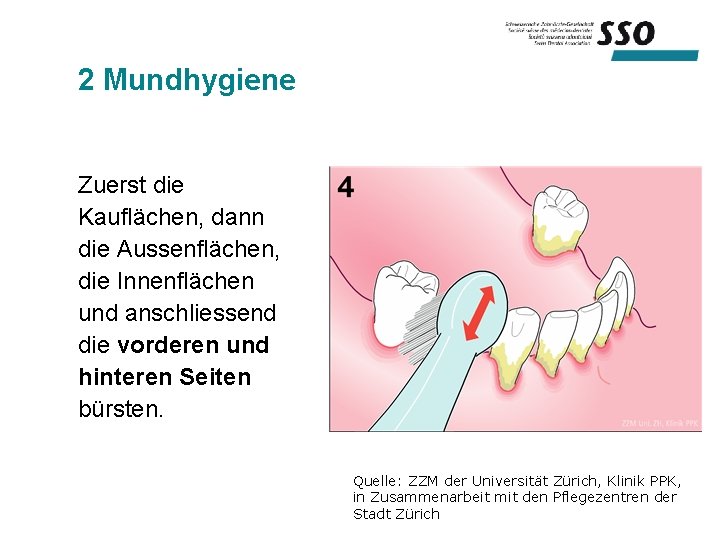 2 Mundhygiene Zuerst die Kauflächen, dann die Aussenflächen, die Innenflächen und anschliessend die vorderen