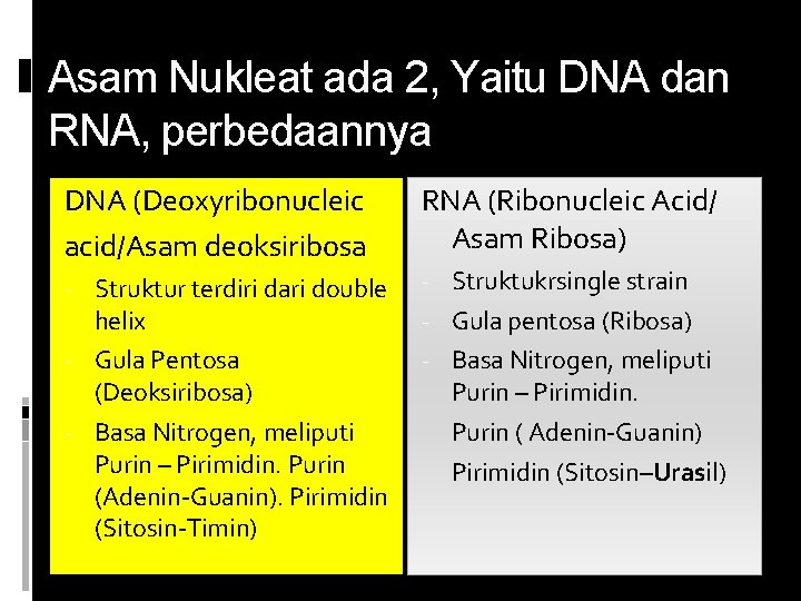 Asam Nukleat ada 2, Yaitu DNA dan RNA, perbedaannya DNA (Deoxyribonucleic acid/Asam deoksiribosa RNA