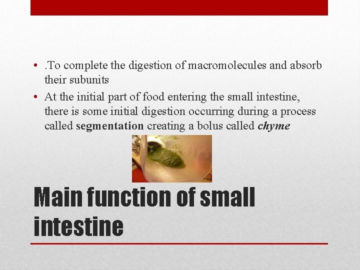  • . To complete the digestion of macromolecules and absorb their subunits •