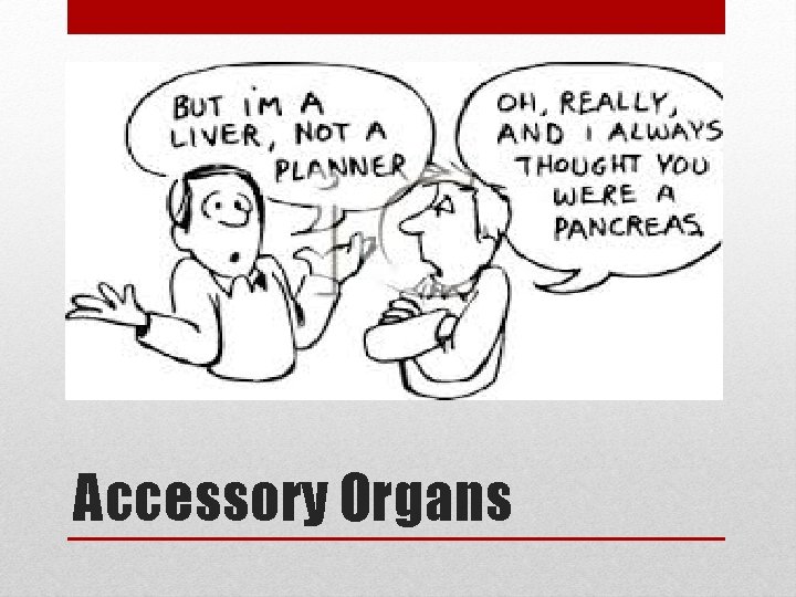 Accessory Organs 