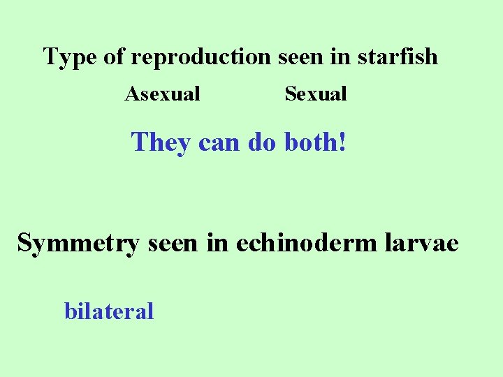 Type of reproduction seen in starfish Asexual Sexual They can do both! Symmetry seen