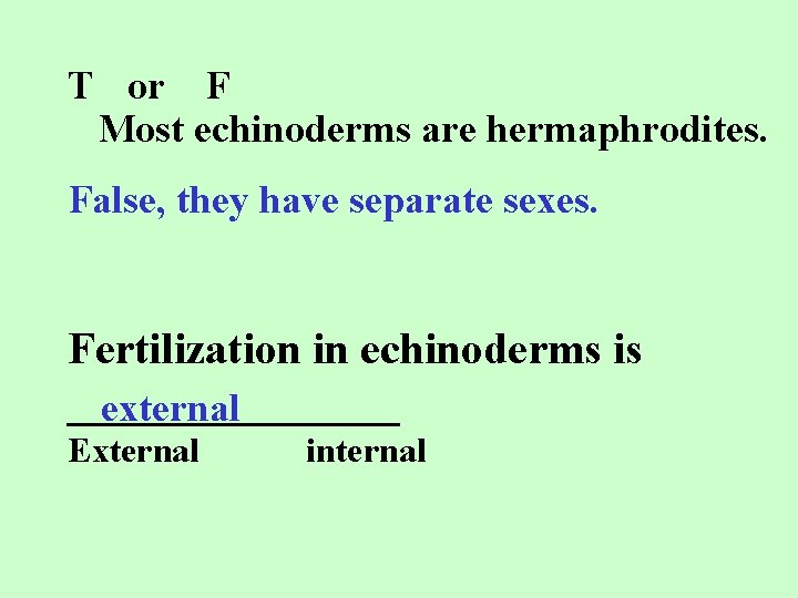 T or F Most echinoderms are hermaphrodites. False, they have separate sexes. Fertilization in